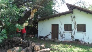 tala de arboles en Gipuzkoa