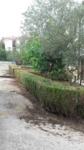 podas en Hernani