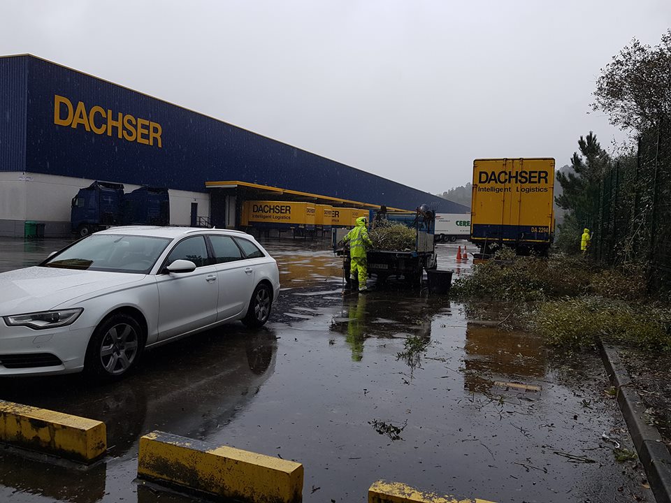 podas en Dachser