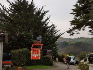 Poda en Zarautz