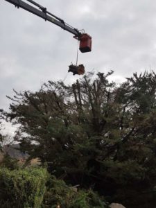 Trabajos de jardineria en Gipuzkoa