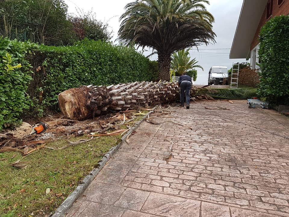 Palmera talaketa Oriamendi ibilbidean