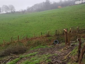 Podas en Gipuzkoa