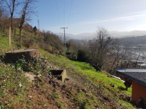 Trabajos de jardineria en Gipuzkoa