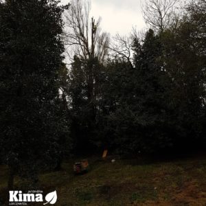 poda en altura Gipuzkoa