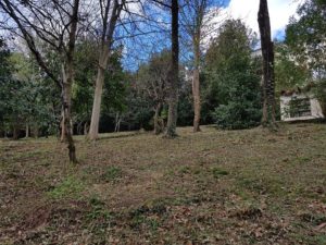 Desbroces en Gipuzkoa
