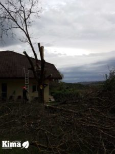 poda en altura y tala de arboles en Gipuzkoa y Bizkaia