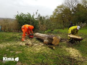 Poda en altura y tala de arboles en Gipuzkoa y Bizkaia