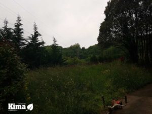 kimaketak Donostian