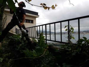 Kimaketak Donostian