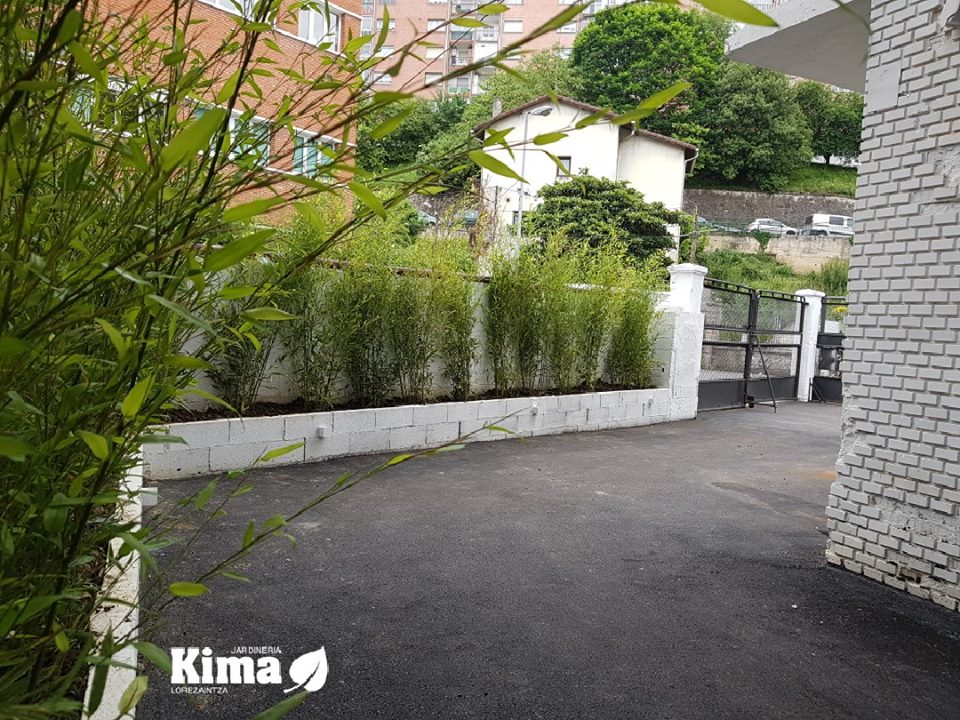 Kima