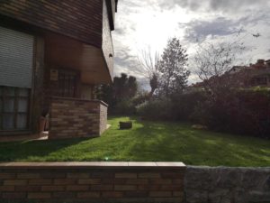 Siembra en Donostia