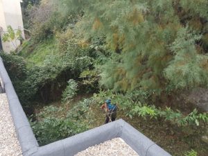 Limpieza de terrenos en Donostia