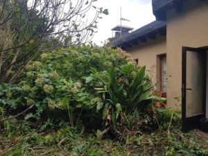 terreno garbiketa Donostian