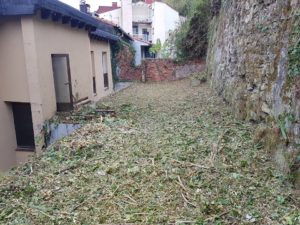 desbrozea eta garbiketa orokorra Donostian