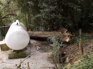 retirada de arbol caido en Donostia