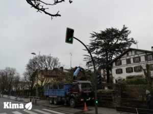 Poda y tala de arboles Donostia