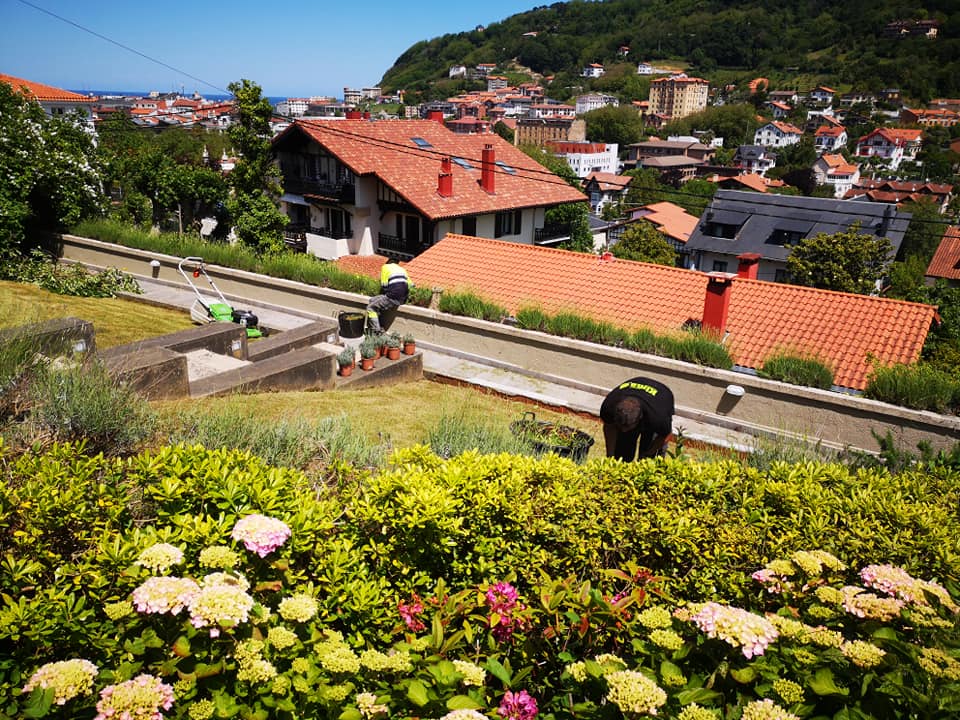ardineritza lanak Jardineria en Donostia садоводство в доности