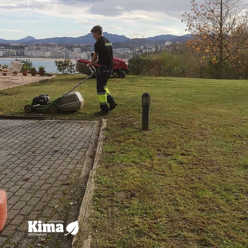 Servivios de jardineria en Donostia