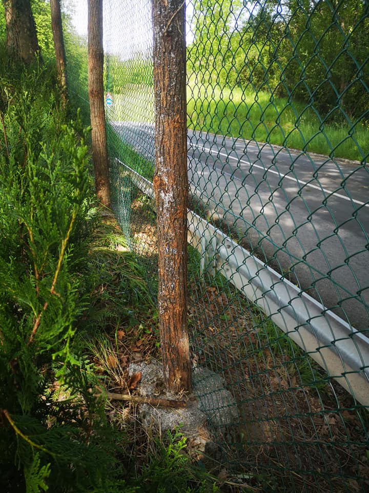 plantacion y realizacion de cercado