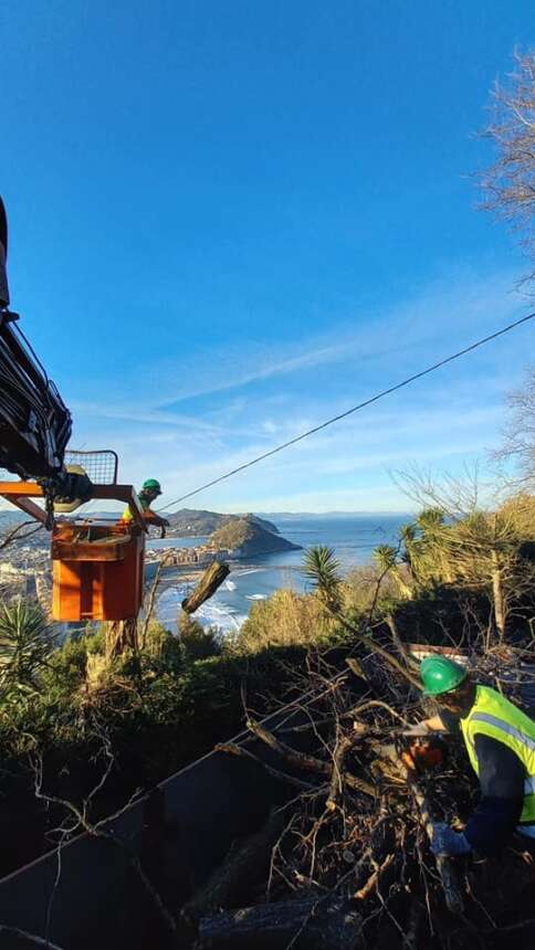 Tala de arboles en Donostia