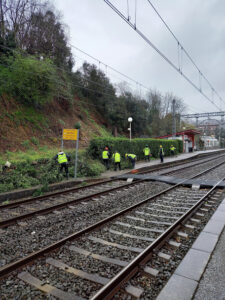 Tala de árboles y limpieza de terrenos para obra de estación en Hernani