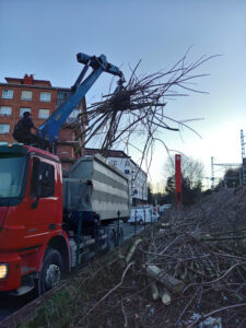 Tala de árboles para obra de estación en Hernani