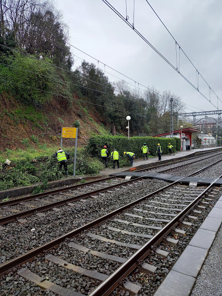 Tala de árboles y limpieza de terrenos para obra de estación en Hernani