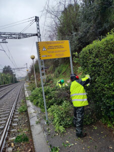 Tala y limpieza de terrenos para obra de estación en Hernani